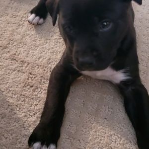 Meet your Posher, Adrienne